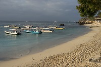 Mushroom beach