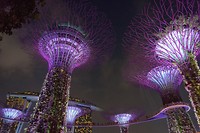 Supertree Grove