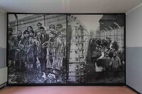 foto's kinderen