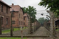 Auschwitz I