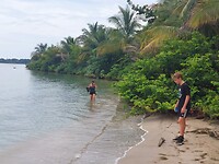 Waden langs de mangrove