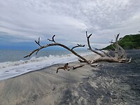 Playa Los Huvos