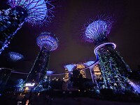 Gardens by the Bay