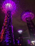Gardens by the Bay
