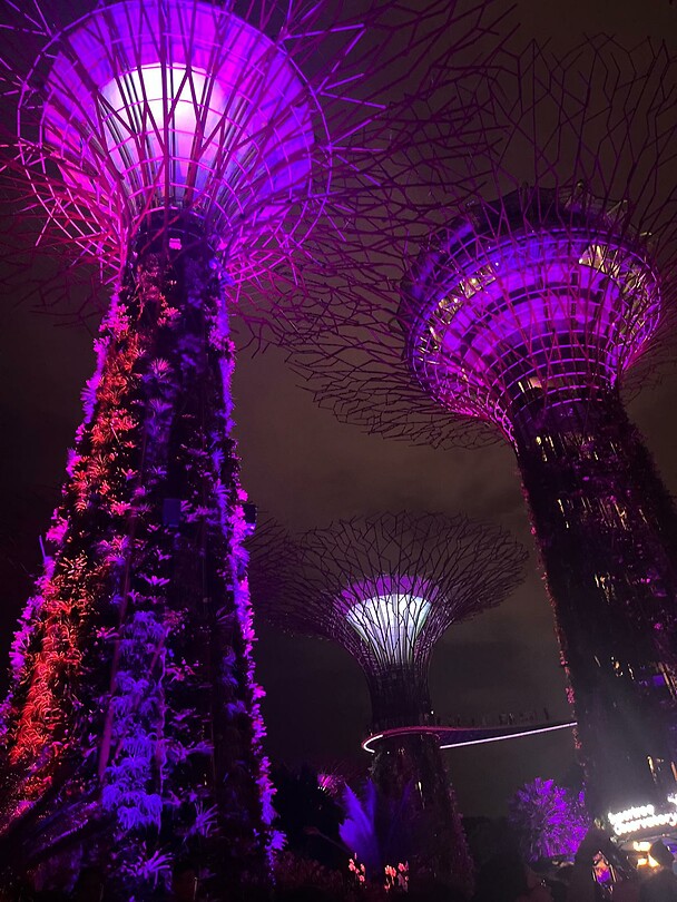 Gardens by the Bay