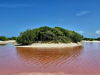 Salinas Celestun