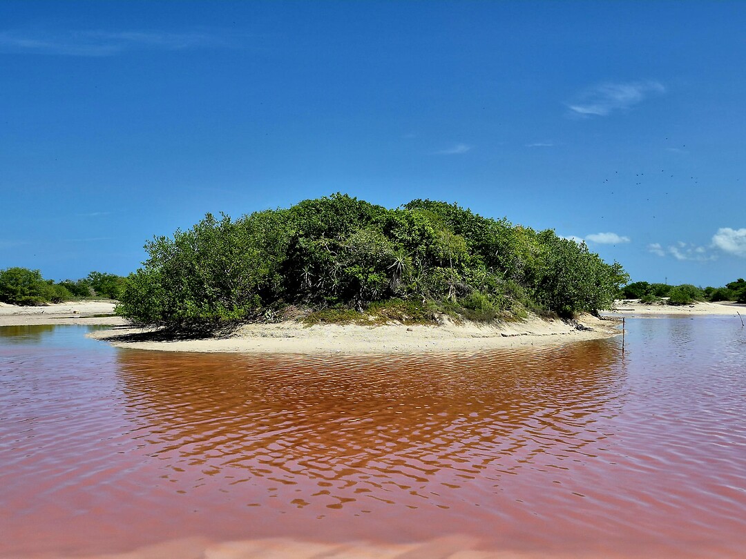 Salinas Celestun
