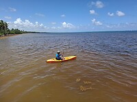 Kayakken
