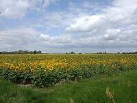 IMG_20210720_113718