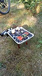 IMG-20210727-WA0010