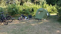 IMG-20210727-WA0006