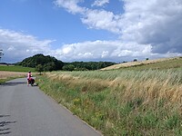 IMG_20210729_151333