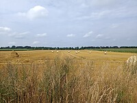 IMG_20210805_111101