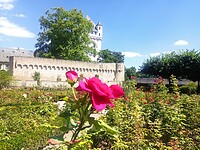 IMG_20220806_143858
