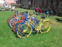 IMG_20220806_124755