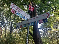 IMG_20220812_091817