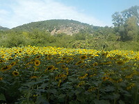 DSCN1778