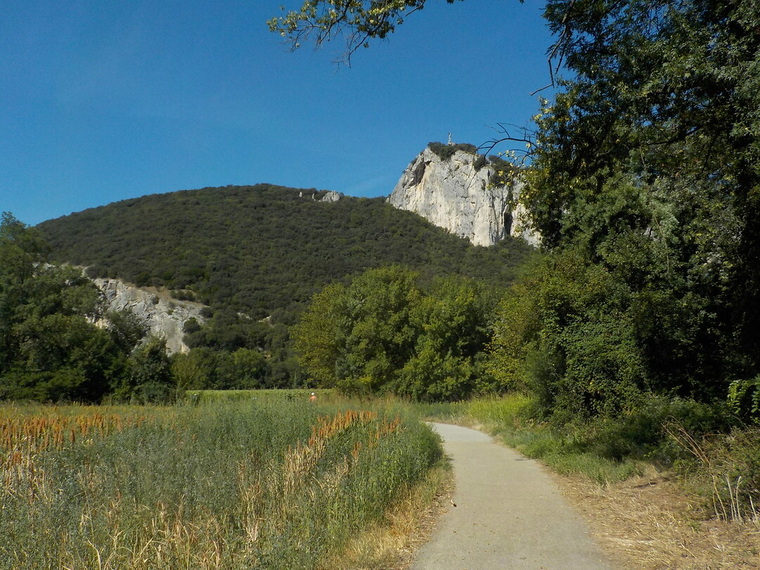 DSCN1793