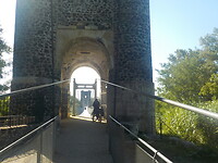 DSCN1784