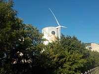 DSCN1782