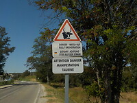 DSCN1866