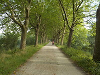 DSCN1877