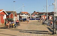 s11267_associated_02