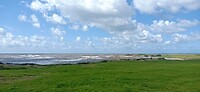 IMG_20240811_130311