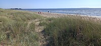 IMG_20240812_160413