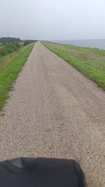Fietsen langs de zee