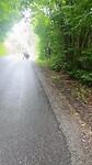 1000048445