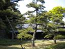 DSCN0389