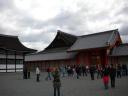 DSCN0488