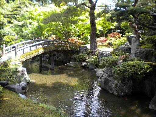 DSCN0510