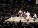 Sumo game Asakusa