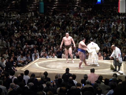 Sumo game Asakusa