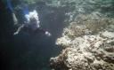 great barrier reef! nice