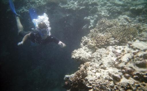 great barrier reef! nice