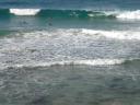 DSCN1226
