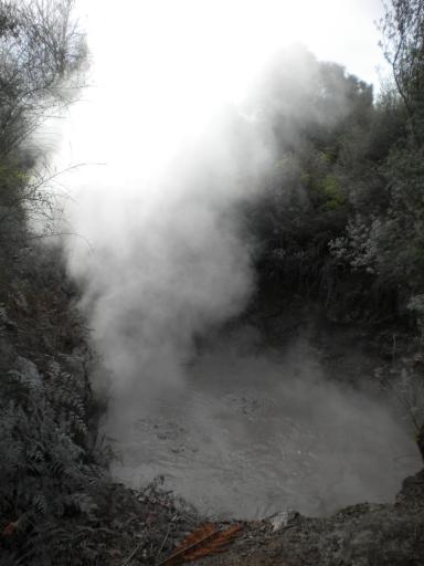 DSCN1348