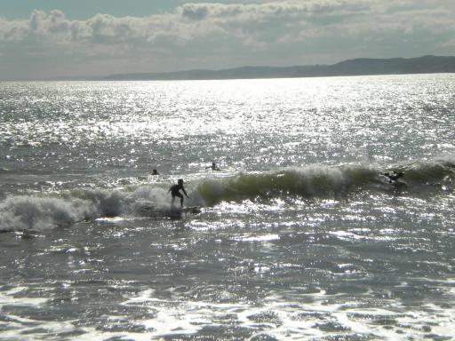 Manu bay ( endless summer )
