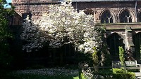 Binnentuin Cathedral Chester