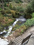 Brandon Garden