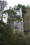 Brandon Garden