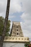 De stervormige tempel