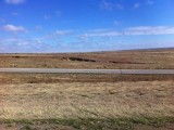 IMG_1900