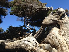 IMG_2679