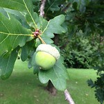 IMG_3357