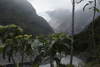 Fransz Josef Glacier