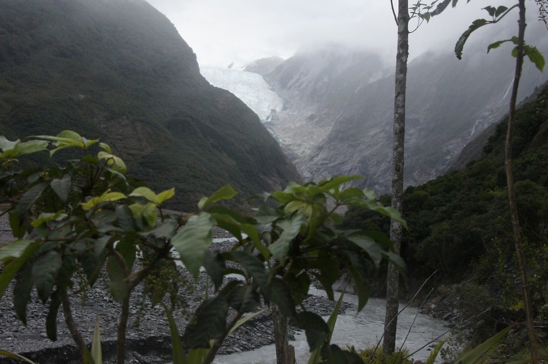 Fransz Josef Glacier